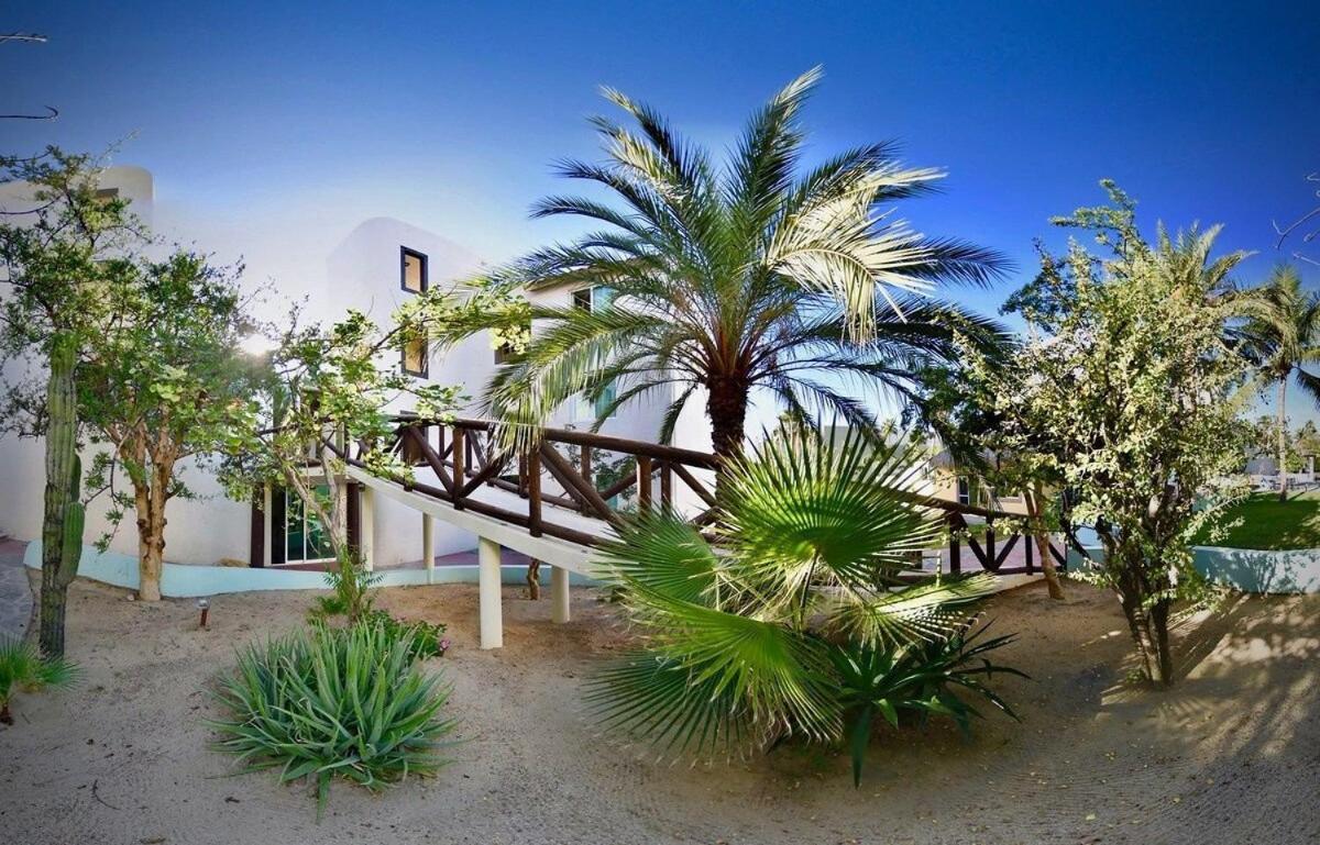 Sm Apartments San José del Cabo Eksteriør billede